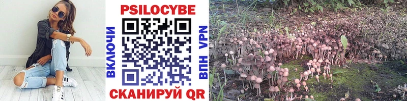 где можно купить Лахденпохья Галлюциногенные грибы прущие грибы